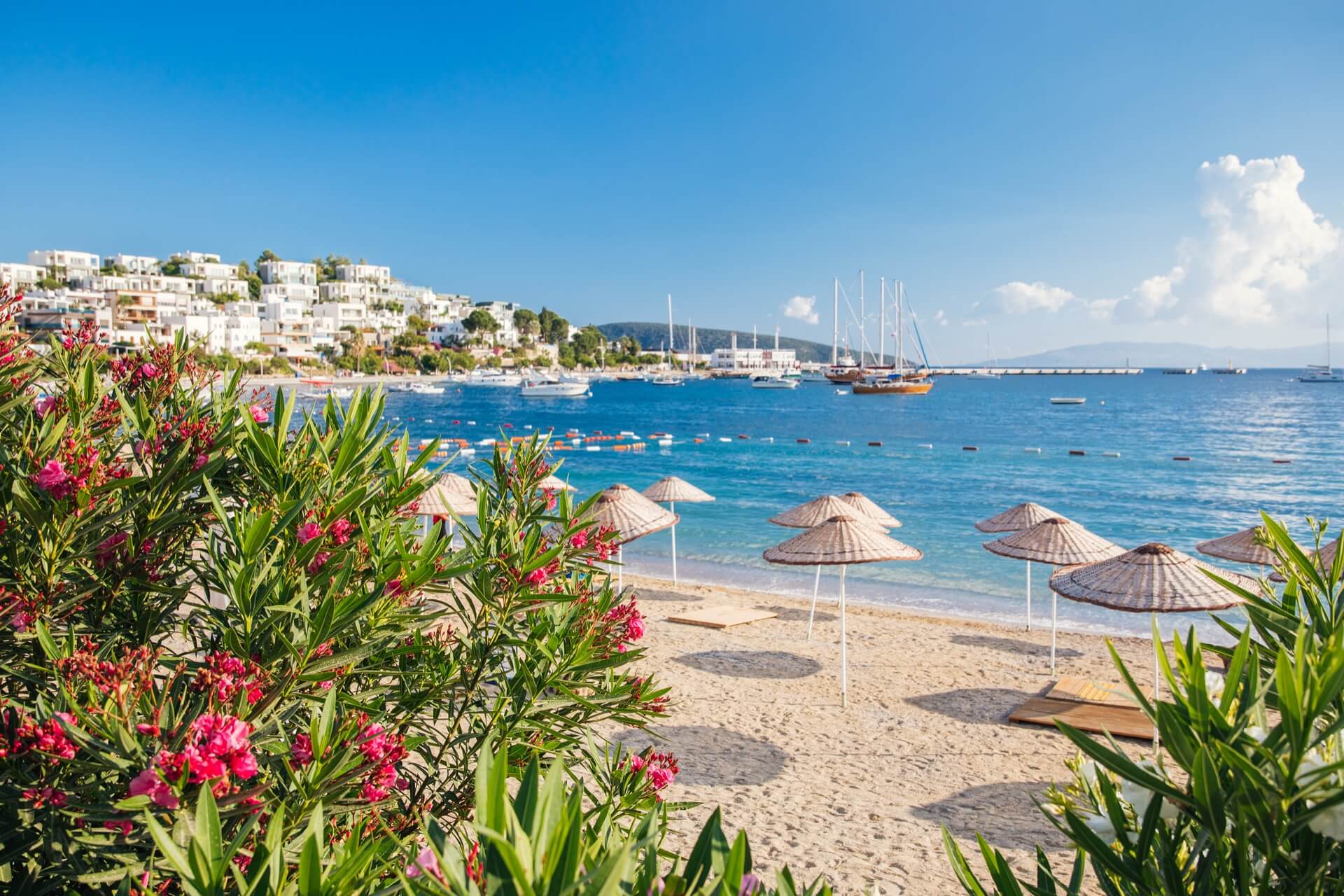 İzmir - Bodrum Transfer